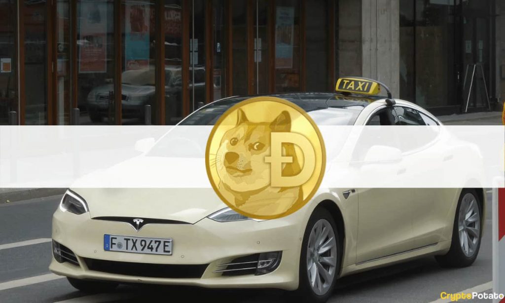 Elon Musk Inspired a German Tesla Taxi Company to Enable Dogecoin Payments