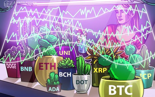 Price analysis 6/7: BTC, ETH, BNB, ADA, DOGE, XRP, DOT, UNI, ICP, BCH