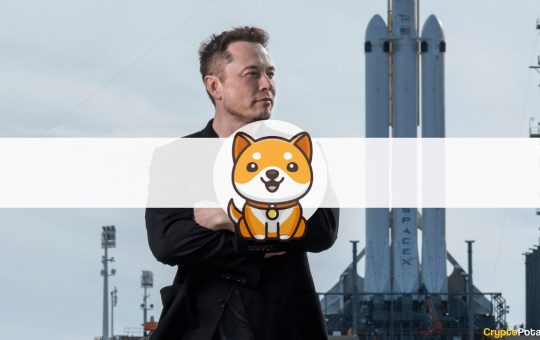 New Baby Doge Skyrockets 90% Following Elon Musk's Latest Tweets