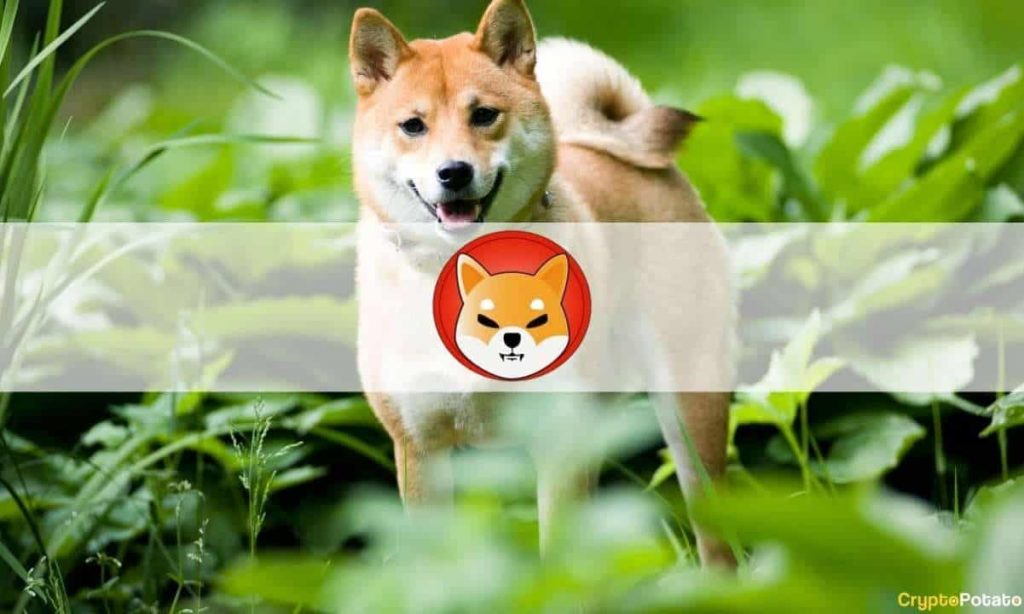 Shiba Inu’s Newly Launched ShibaSwap DEX Explodes With $1.5B TVL in Less Than 2 Days