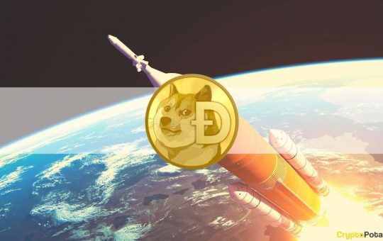 Dogecoin Skyrockets 25% (Weekend Watch)