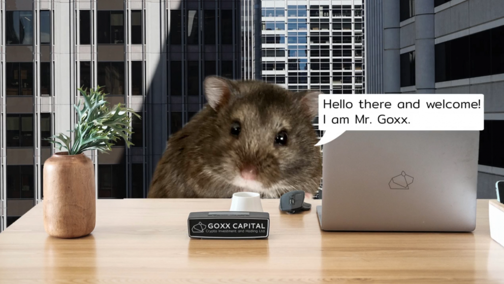 Crypto Hamster Edges Out Warren Buffett, S&P 500