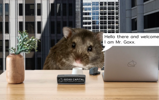 Crypto Hamster Edges Out Warren Buffett, S&P 500