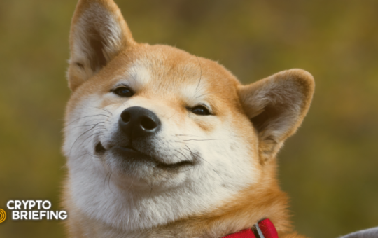 Shiba Inu Primed to Run Following Coinbase Pro Listing