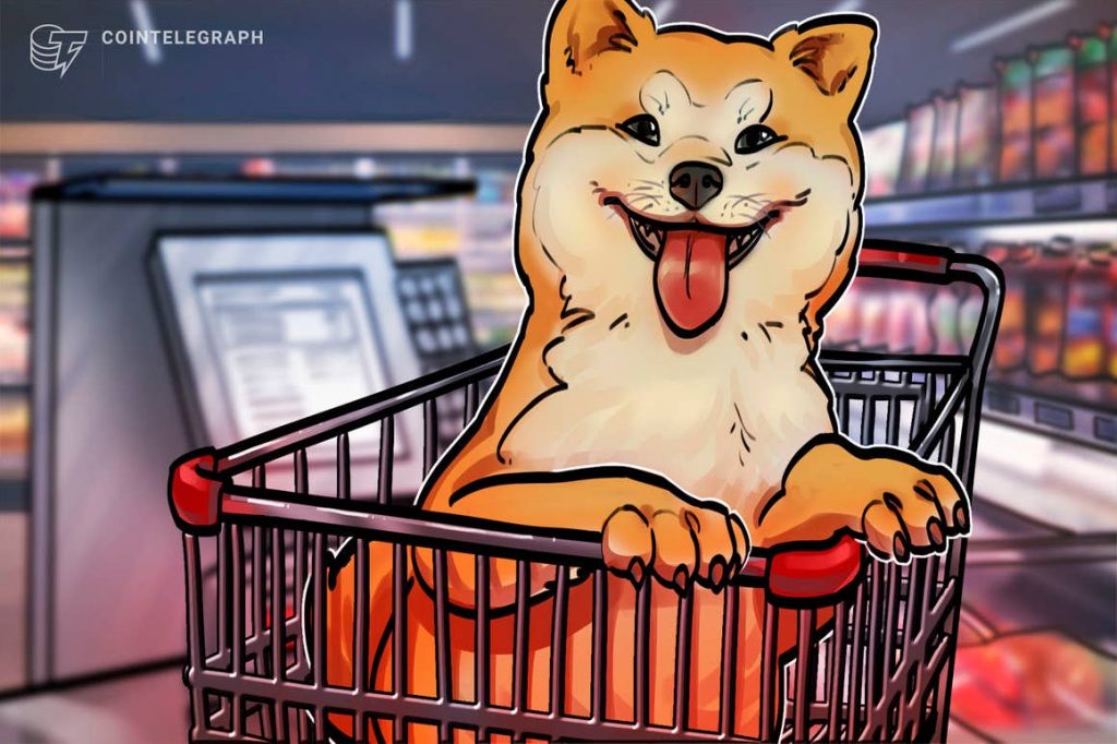 Shiba Inu (SHIB) jumps 40% on Elon Musk’s cryptic endorsement, Coinbase listing