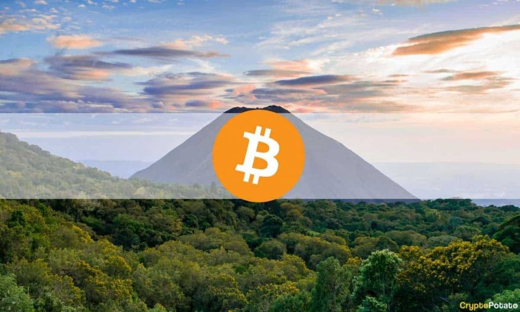 Volatile Week Following El Salvador's Bitcoin Adoption and Plunge Below $43K: The Weekly Crypto Recap