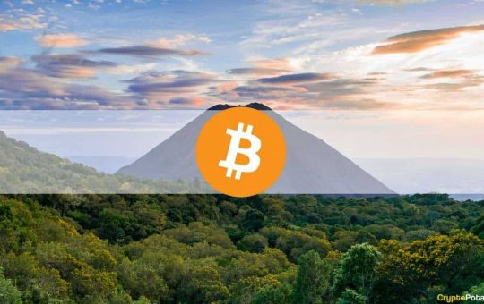 Volatile Week Following El Salvador's Bitcoin Adoption and Plunge Below $43K: The Weekly Crypto Recap