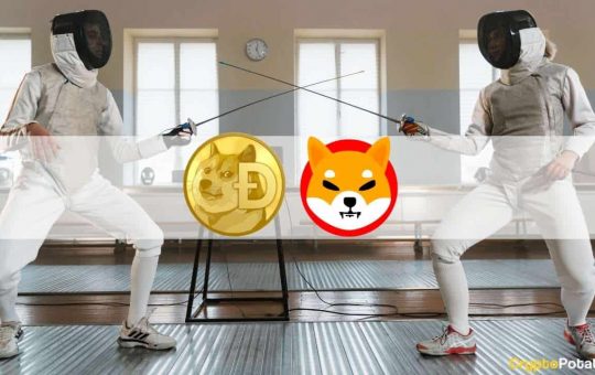 Binance Adds SHIB-DOGE Trading Pair