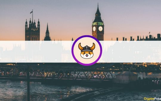 Memecoin Floki Named After Elon Musk's Dog Advertised On London's Public Transport