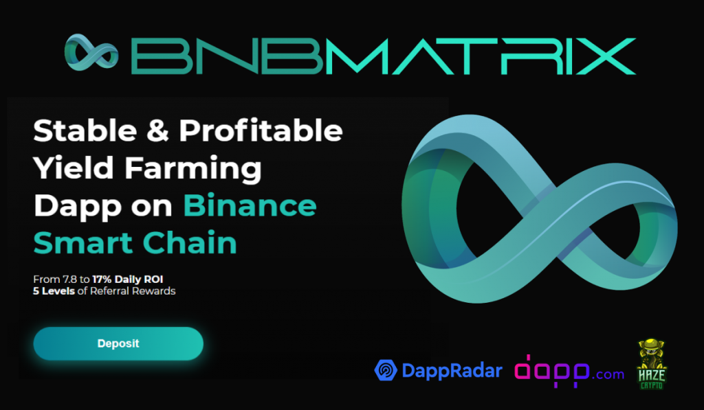 Stable, Profitable Yield Farming dApp on Binance Smart Chain