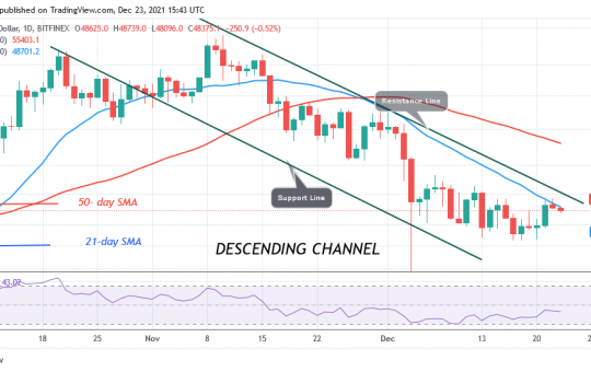 Bitcoin (BTC) Price Prediction: BTC/USD Holds above $45.5k as It Struggles Below $50k