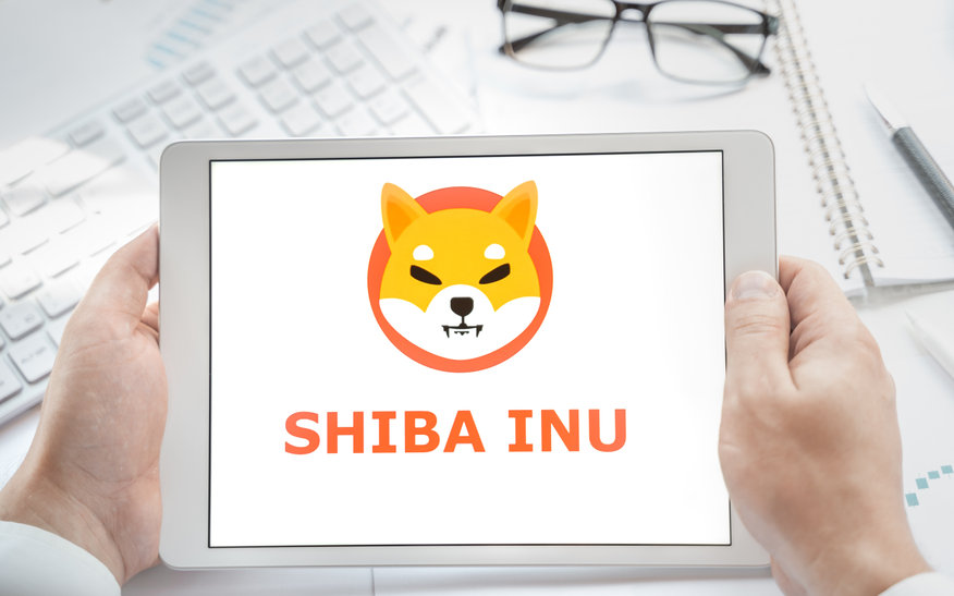 Is Shiba Inu (SHIB) about to experience another Bull Run? MaybeCrypto