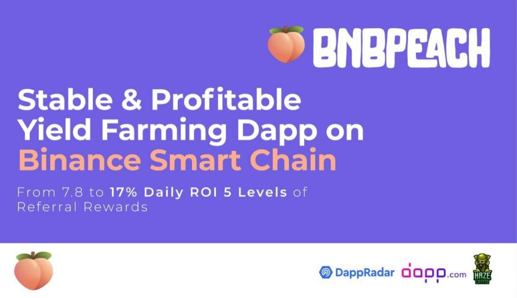 Stake BNB for Daily ROI