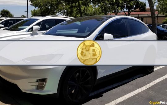 Dogecoin Spikes 20% as Tesla Enables DOGE Payments