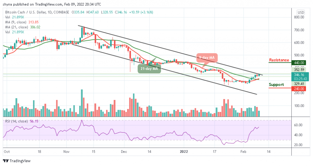 Bitcoin Cash Price Prediction