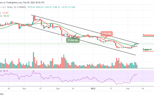 Bitcoin Cash Price Prediction