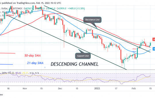 Bitcoin (BTC) Price Prediction: BTC/USD Turns from $45K Resistance as Bitcoin Remains Resolute