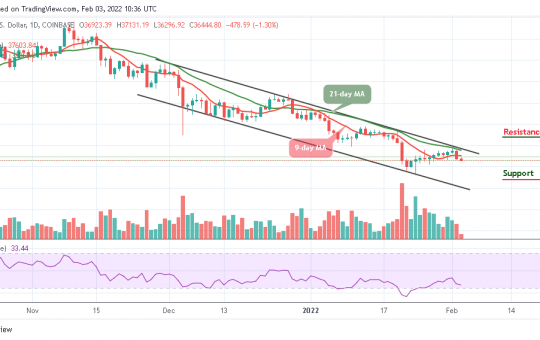 Bitcoin Price Prediction