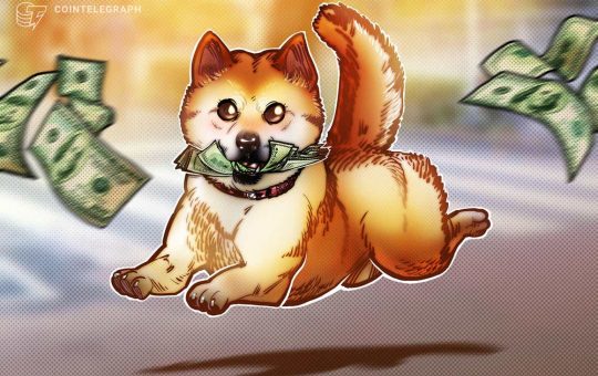 Newbie Shiba Inu bites back, gains 25% vs. Dogecoin in February