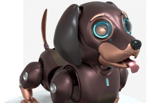 “Robo Dog” NFT collection sales to help pets find homes, says Kia America