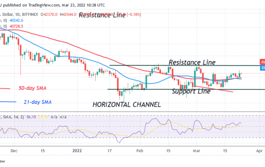 Bitcoin (BTC) Price Prediction: BTC/USD Remains Stable as Bitcoin Slumps above $42K