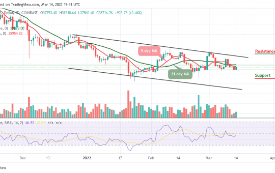 Bitcoin Price Prediction