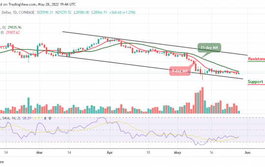 Bitcoin Price Prediction