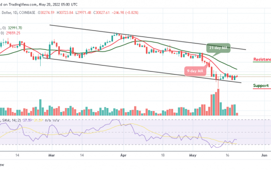 Bitcoin Price Prediction