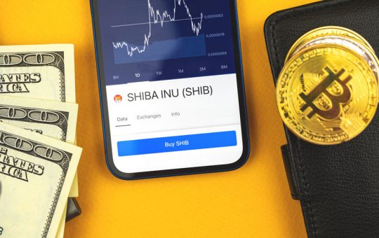 Shiba Inu (SHIB) could drop by around 15% before any bull run