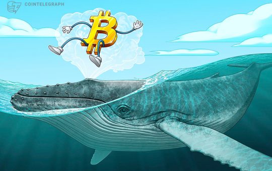 Small Bitcoin whales may be keeping BTC price from 'capitulation' — analysis