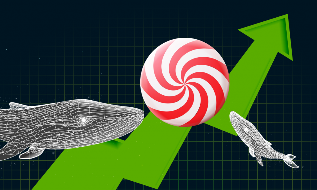 Whales Hold More Than 23% of CandyDEX Tokens