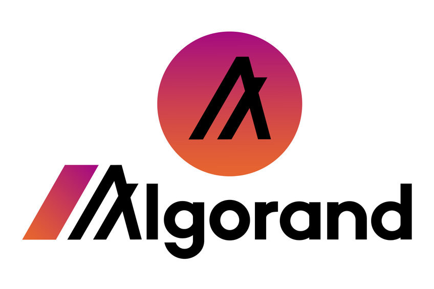 Algorand names COO Sean Ford as Interim CEO