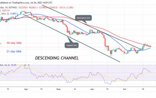 Bitcoin Price Prediction for Today July 24: BTC Price may revisit the $20.7K low