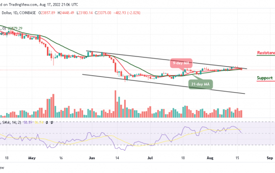 BTC Bears Could Demolish $23,000 Support as Tamadoge Corrects Upward