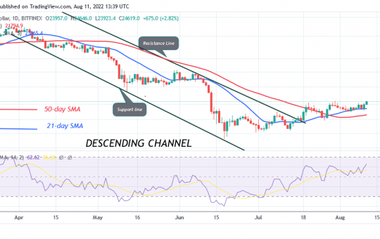 Bitcoin Price Prediction for Today August 11: BTC Price Turns Down From $24.9K High