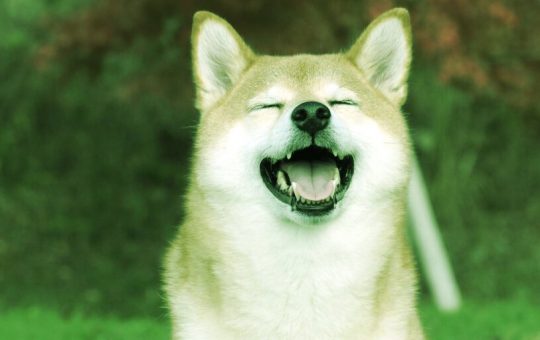 SHIB Spikes 30% On Sunday, Dogecoin Climbs