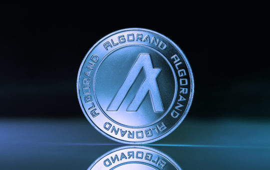 Algorand Foundation Seeks 'Legal Remedies' to Reclaim $35M Hodlnaut Deposit