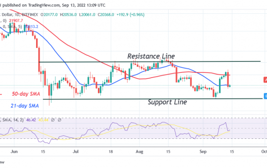 Bitcoin Price Prediction for Today September 13: BTC Price Plunges above $20.3K Low