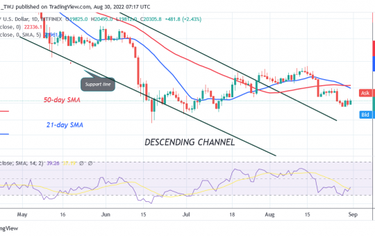 Bitcoin Price Prediction for Today August 31: Buyers Are in Strong Defense as BTC Price Holds Above 20K