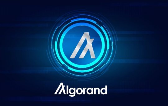 Why is Algorand price rising today?