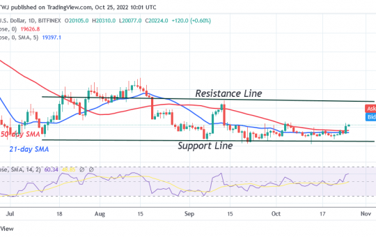 Bitcoin Price Prediction for Today, October 25: BTC Price Is Unable to Sustain above $20.5K