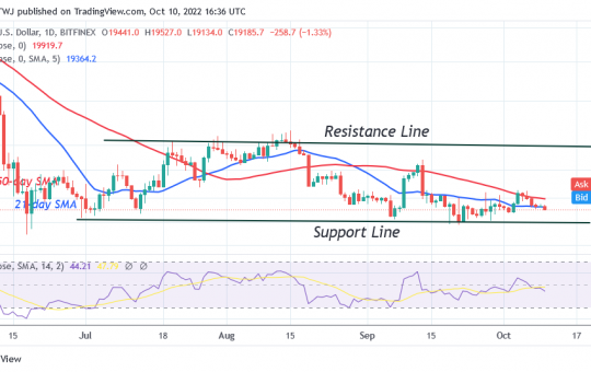 Bitcoin Price Prediction for Today October 10: BTC Price Struggles To Hold Above $19K