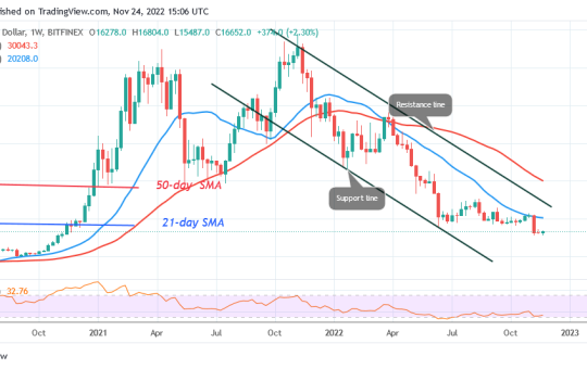 Bitcoin Price Prediction for Today, November 24: BTC Price Consolidates Above $16K