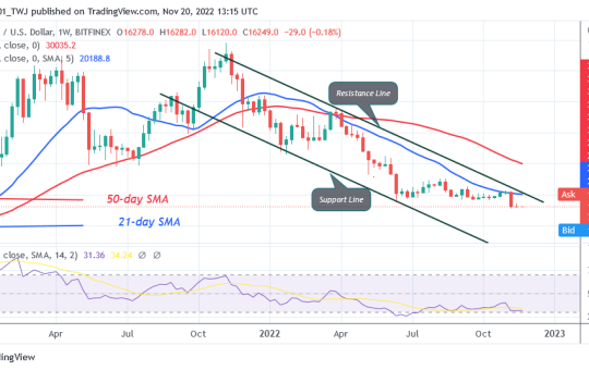 Bitcoin Price Prediction for Today, November 20: BTC Price Revisits $15,588 Low