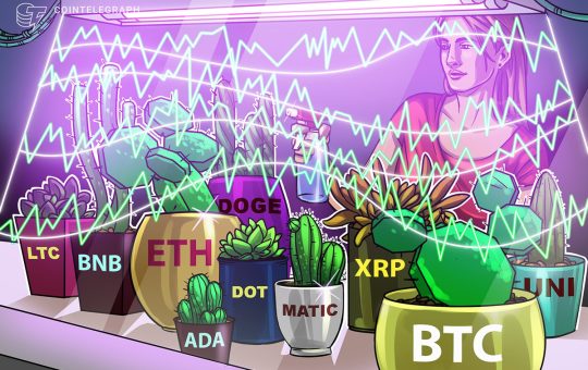 Price analysis 12/23: BTC, ETH, BNB, XRP, DOGE, ADA, MATIC, DOT, LTC, UNI