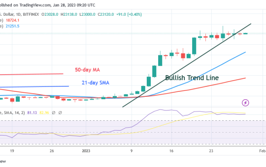 Bitcoin Price Prediction for Today, January 28: BTC Price Is Steady above the $23K Support Level