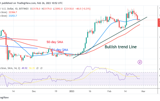 Bitcoin Price Prediction for Today, February 26: BTC Remains over the $23,000 Mark