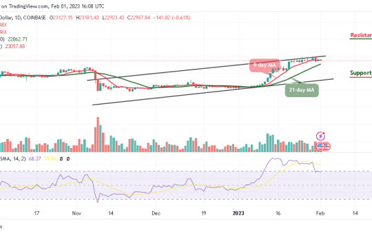 Bitcoin Price Prediction for Today, February 1: BTC/USD Could Drop Below $22,500 Support