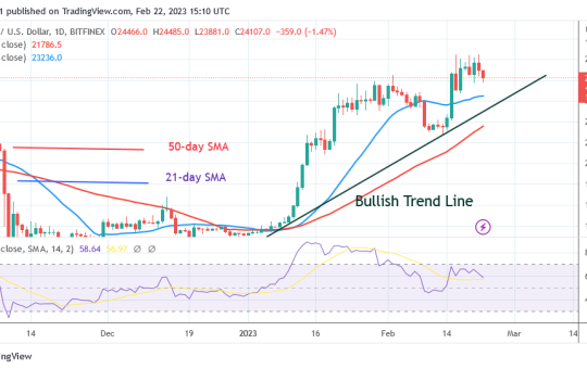 Bitcoin Price Prediction for Today, February 22: BTC Price Is Consolidating near the $25K Resistance Level