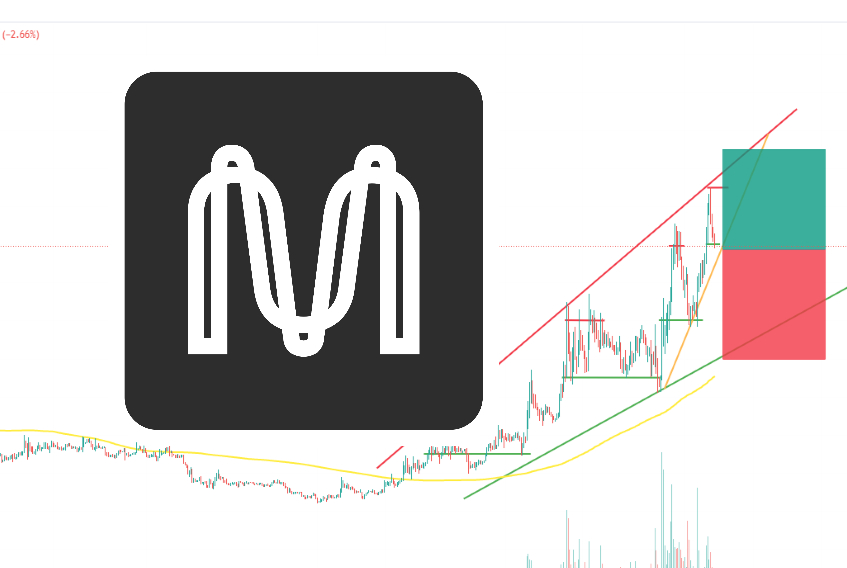 Is It Too Late to Buy Mina Protocol? Crypto Experts Give Their MINA Price Predictions